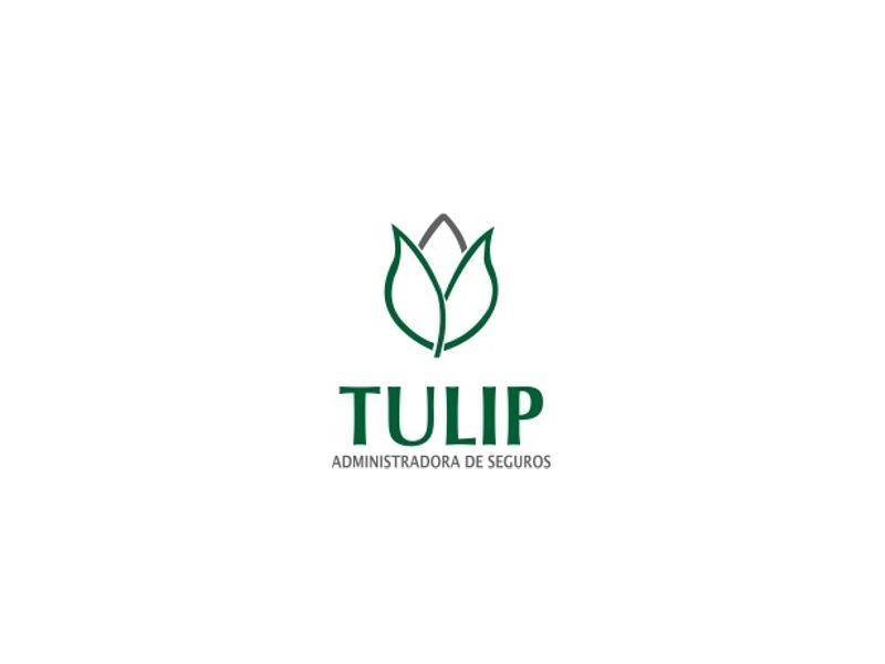 TULIP SEGUROS