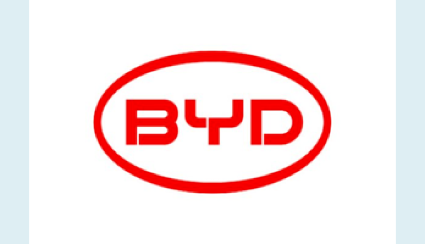 Fabricante: BYD