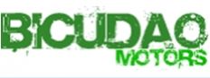 BICUDO MOTORS