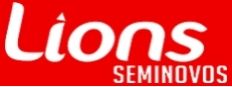 LIONS SEMINOVOS - INTENDENTE MAGALHES