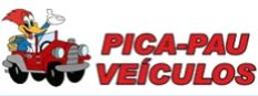 PICA PAU VECULOS