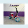 OUTROS SCOOTER ELÉTRICA X 12 - 1000W - BRANCO - 2026 Foto 1 (Miniatura)