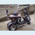 CITYCOCO SCOOTER X 15 1000W ELETRICO - CHUMBO - 2026 Foto 2 (Miniatura)