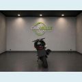 YAMAHA YAMAHA FAZER 250 BLUEFLEX 249CC FLEX - BRANCO - 2014 Foto 4 (Miniatura)