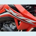 HONDA XR 300L TORNADO FLEX - VERMELHO - 2026 Foto 5 (Miniatura)