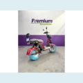 OUTROS SCOOTER ELÉTRICA X 12 - 1000W - BRANCO - 2026 Foto 6 (Miniatura)