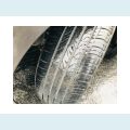 HONDA FIT 1.5 TWIST 16V FLEX 4P AUT. - N/D - 2013 Foto 8 (Miniatura)