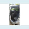 HONDA FIT 1.5 EX 16V FLEX 4P AUT. - N/D - 2019 Foto 8 (Miniatura)