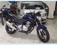 Veículo: CB 300R/ 300R FLEX (Mais Vistos)