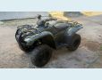 Veículo: FOURTRAX TRX 420 FM (Mais Vistos)