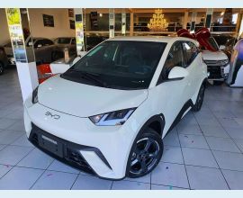 Veículo: DOLPHIN MINI (Listagem)