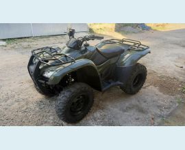 Veículo: FOURTRAX TRX 420 FM (Listagem)