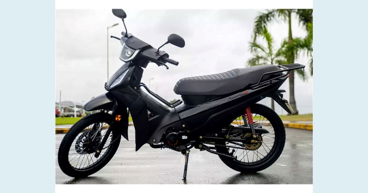 SHINERAY PHOENIX 50