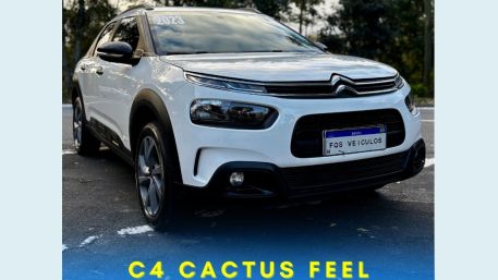 CITRON CACTUS
