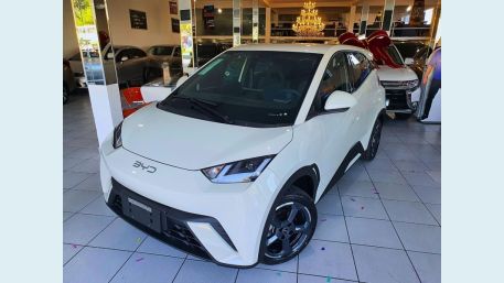 BYD DOLPHIN MINI