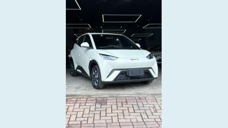 BYD DOLPHIN MINI