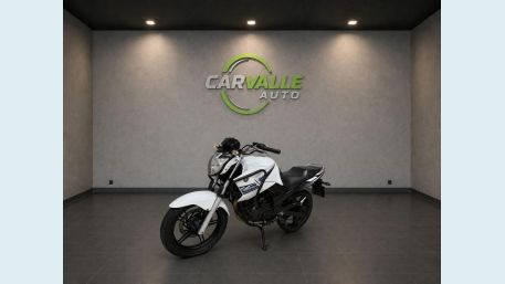YAMAHA YS 250 FAZER BLUEFLEX