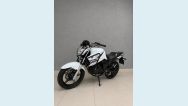 YAMAHA YS 250 FAZER BLUEFLEX