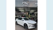 BYD KING