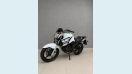 YAMAHA YS 250 FAZER BLUEFLEX