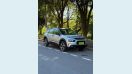 CITRO�N CACTUS