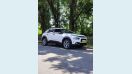 CITRO�N CACTUS