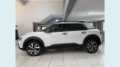 CITRO�N CACTUS
