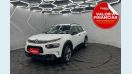 CITRO�N CACTUS