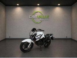 YAMAHA YS 250 FAZER BLUEFLEX