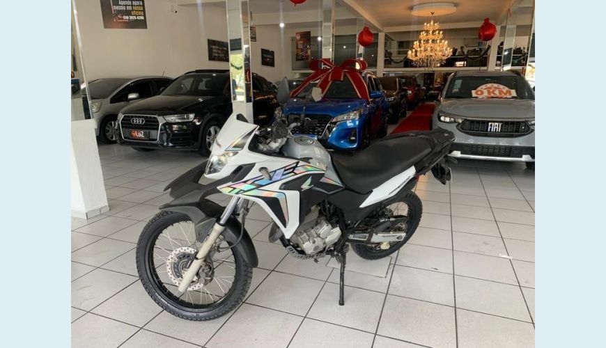 HONDA XRE 300 ABS - PRATA - 2019 Foto 1 (Grande)