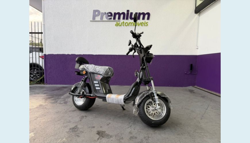 OUTROS SCOOTER ELÉTRICA X 13 - 1000W - CINZA - 2026 Foto 1 (Grande)