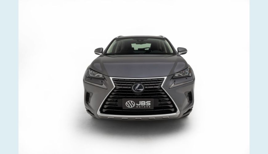 LEXUS NX 300H 2.5 16V VVT-I HYBRID LUXURY CVT AWD - CINZA - 2020 Foto 2 (Grande)