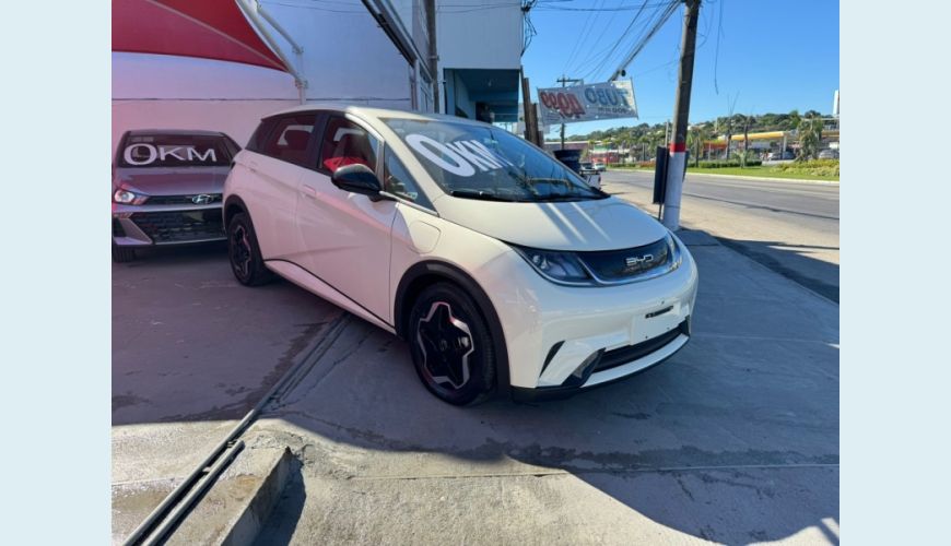 BYD DOLPHIN 44,9 KW ELÉTRICO - CINZA - 2024 Foto 3 (Grande)