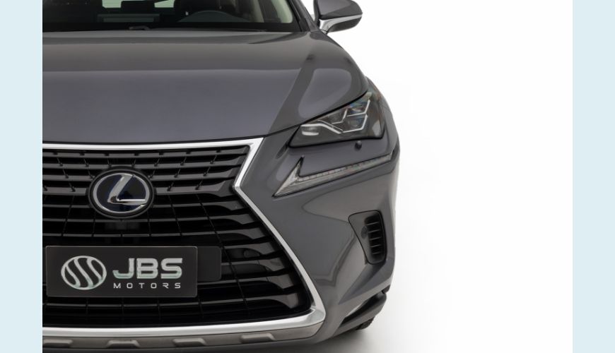 LEXUS NX 300H 2.5 16V VVT-I HYBRID LUXURY CVT AWD - CINZA - 2020 Foto 3 (Grande)
