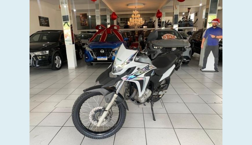 HONDA XRE 300 ABS - PRATA - 2019 Foto 3 (Grande)