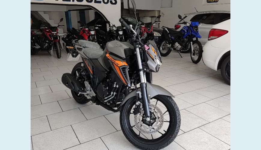 YAMAHA FZ25 250 FAZER FLEX - CINZA - 2025 Foto 3 (Grande)