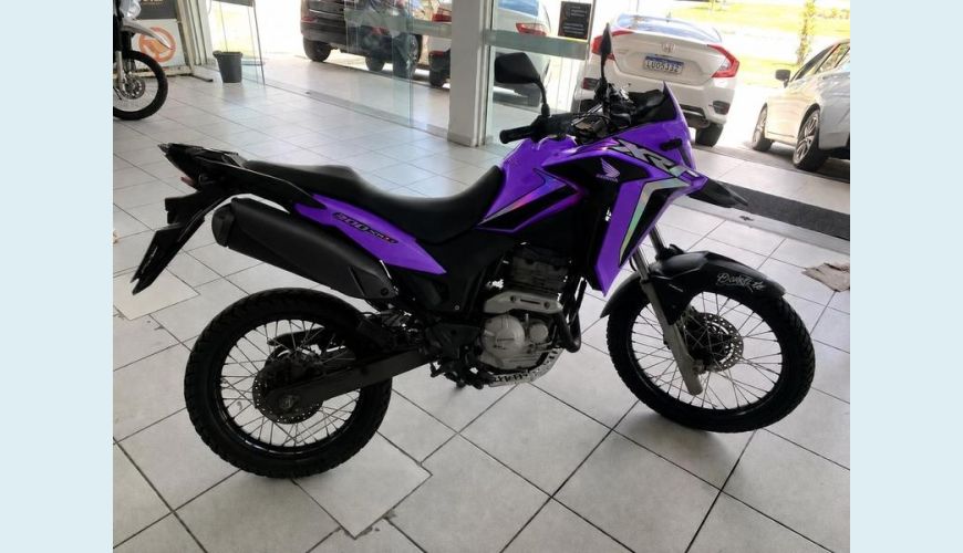 HONDA XRE 300 ABS MONOCILINDRICO FLEX - PRATA - 2019 Foto 3 (Grande)