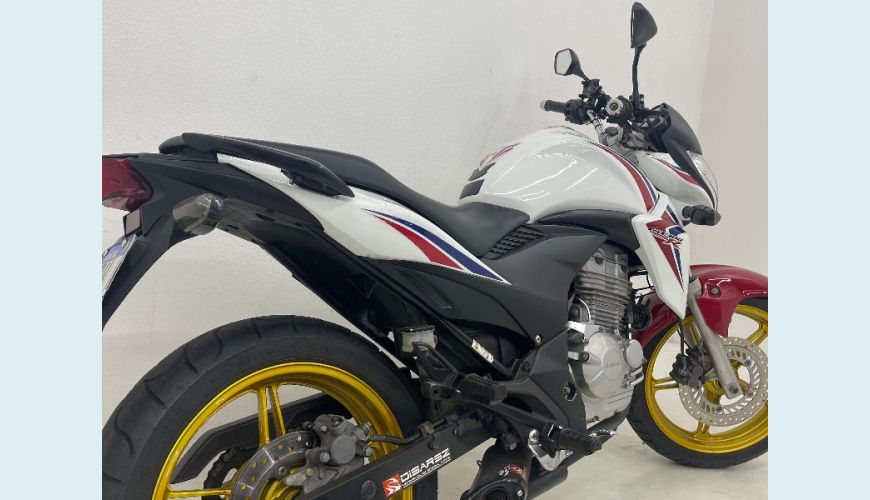 HONDA HONDA CB 300R FLEX - BRANCO - 2015 Foto 3 (Grande)