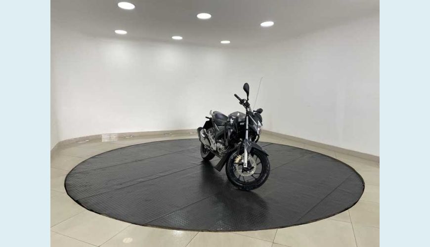 HONDA CB 250F TWISTER (CBS) - PRATA - 2020 Foto 4 (Grande)