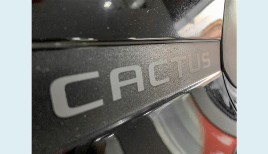 CITROËN C4 CACTUS 1.6 VTI 120 FLEX FEEL EAT6 - PRETO - 2020 Foto 5 (Grande)