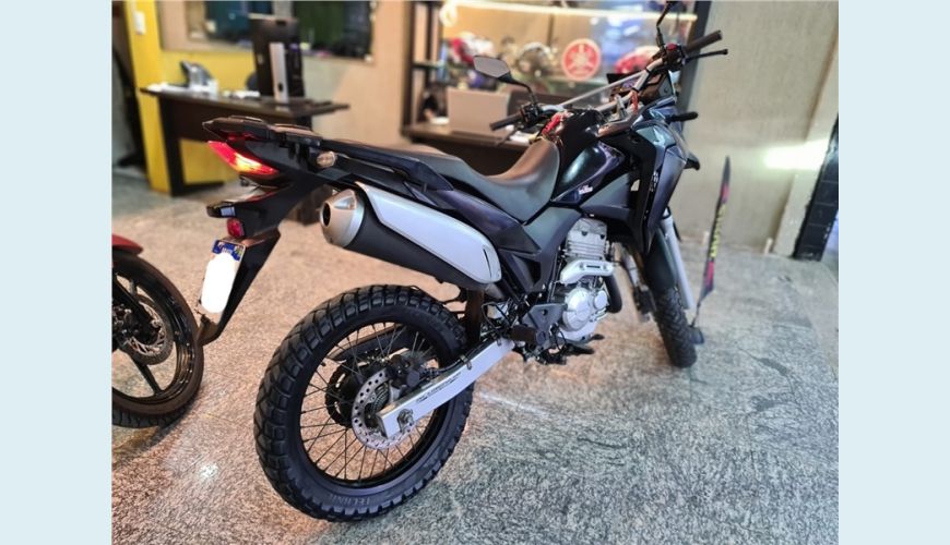 HONDA XRE 300 ABS XRE 300 ABS - CINZA - 2020 Foto 6 (Grande)