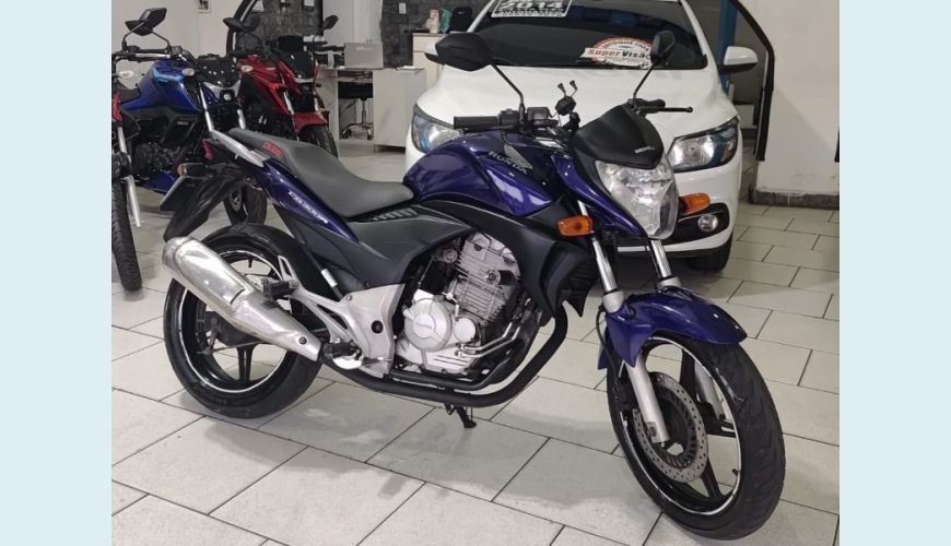 HONDA CB 300R/ 300R FLEX - AZUL - 2011 Foto 6 (Grande)