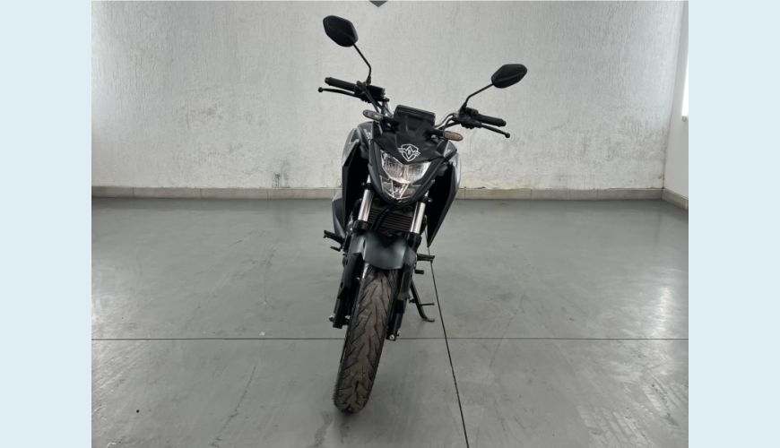 HONDA CB 300F TWISTER CBS FLEX - CINZA - 2024 Foto 6 (Grande)
