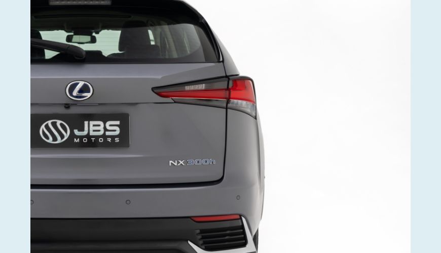 LEXUS NX 300H 2.5 16V VVT-I HYBRID LUXURY CVT AWD - CINZA - 2020 Foto 7 (Grande)