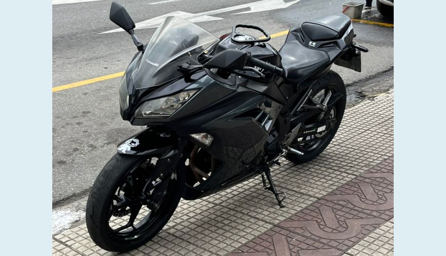 KAWASAKI NINJA 300 - PRETO - 2015 Foto 7 (Grande)