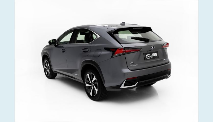 LEXUS NX 300H 2.5 16V VVT-I HYBRID LUXURY CVT AWD - CINZA - 2020 Foto 8 (Grande)