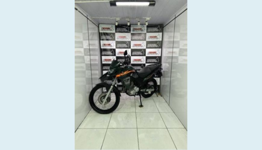 HONDA XRE 300 ADVENTURE TRAIL - VERDE - 2019 Foto 2 (Grande)