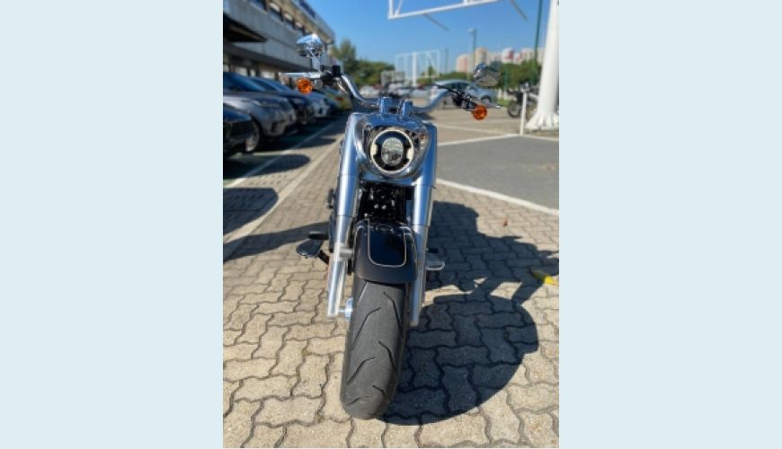HARLEY-DAVIDSON SOFTAIL FAT BOY 114 CUSTOM - MARROM - 2020 Foto 3 (Grande)