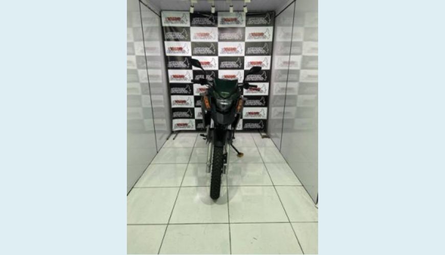 HONDA XRE 300 ADVENTURE TRAIL - VERDE - 2019 Foto 3 (Grande)