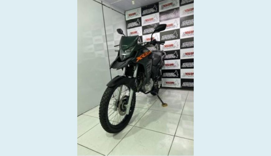 HONDA XRE 300 ADVENTURE TRAIL - VERDE - 2019 Foto 5 (Grande)